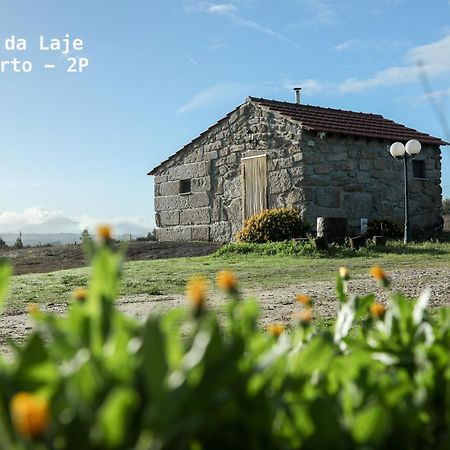 Vila Da Laje - Onde A Natureza O Envolve - Serra Da Estrela Oliveira do Hospital Exterior foto