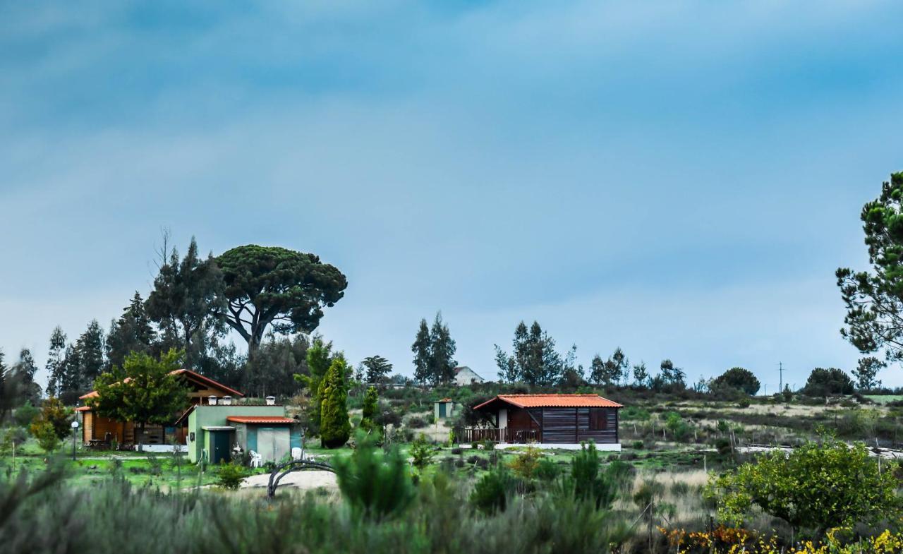 Vila Da Laje - Onde A Natureza O Envolve - Serra Da Estrela Oliveira do Hospital Exterior foto