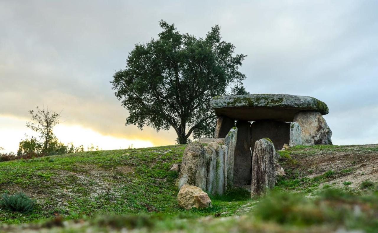 Vila Da Laje - Onde A Natureza O Envolve - Serra Da Estrela Oliveira do Hospital Exterior foto